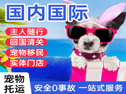 桃仙空运公司国际宠物托运 【国