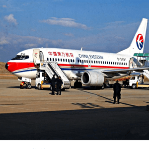 桃仙空运公司航空快运业稳步发展的原因是什么？